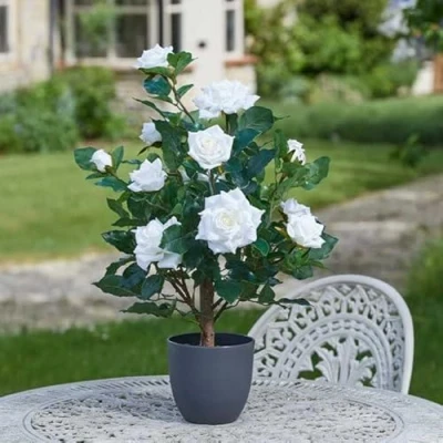 Image of Garden Mile Artificial Plants Indoor And Outdoor Large Plant Rose Tree, Faux Fake Home Décor Office Decorative In Grey Pot (60cm White)