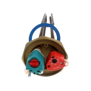 Image of Heatrae Sadia R Series IH TSD Thermostat EY311E.