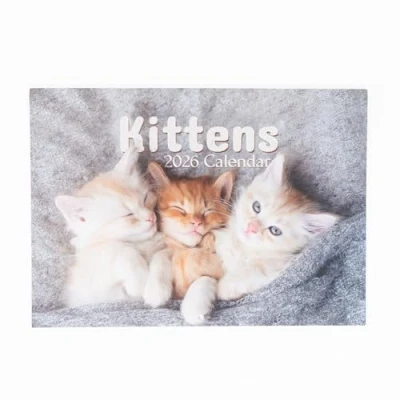 Image of 2025 A4 Cute Kittens Calendar Month to View A3 When Open Hanging Wall Planner Family Home Office Organiser (Kitten)