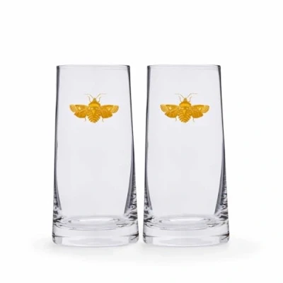 Image of Spode Creatures of Curiosity Set 2 Highball Glasses