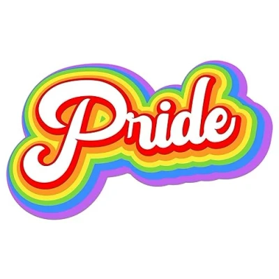 Image of Pack of 4 Pride Vinyl Decal Sticker Car Wall Laptop Scrapbook Campervan Caravan Bumper Window