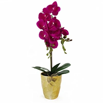 Image of Leaf Design UK Realistic Artificial Orchid Flower Display in Pot,Dark Pink Gold,54cm