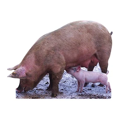 Image of Star Cutouts Cut Out of Pig and Piglet
