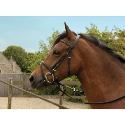 Image of Windsor Equestrian Leather Bridle With Flash Noseband Shetland Black