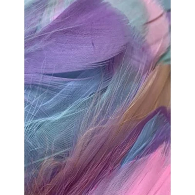 Image of Zebra Balloons Mixed Pastel Feathers, 100 Pack