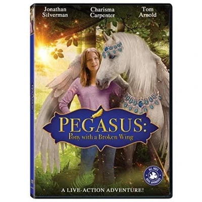 Image of Pegasus: Pony With A Broken Wing