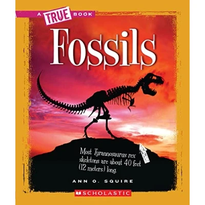 Image of Fossils (A True Book: Earth Science) Book (Relaunch))
