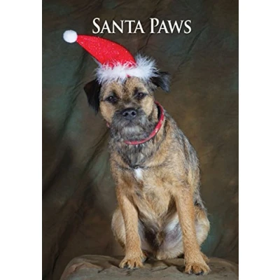 Image of Border Terrier Christmas Cards. Bulk Pack of 8 Dog Xmas Cards with envelopes by Charles Sainsbury Plaice.