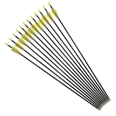 Image of YLA Archery Arrows 28&quot; Recurve Bow Compound Bows Targets Shooting Practice (12 pcs/pack)