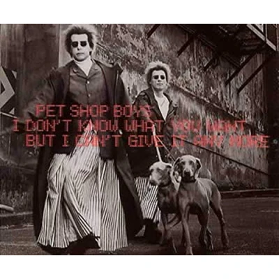 Image of Pet Shop Boys I Don&#039;t Know What You Want [CD1] 1999 German CD single 8874790