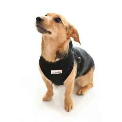Image of Doodlebone Airmesh Dog Harness Padded Soft Breathable Gentle On Dogs Necks to Help Avoid Bruising Extra Large, Black