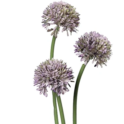 Image of matches21 Leek flowers Allium artificial for flower arrangements plastic bunch of 3 Ø 5x34 cm purple