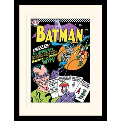 Image of DC Comics Batman 30 X 40 cm &quot;The Riddler&quot; Mounted And Framed Print