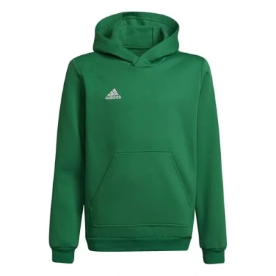 Image of adidas Unisex Kids Entrada 22 Sweat Hoodie, team green/white, 11 12 Years