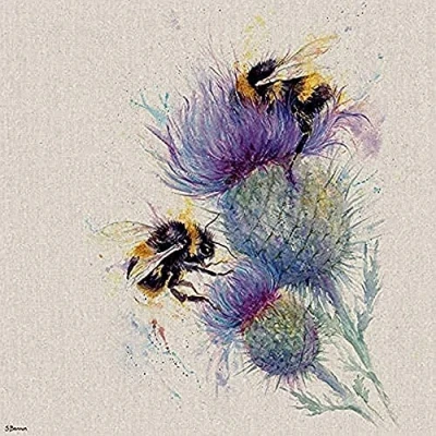 Image of Jane Bannon WDC101180 (Bees on Thistle Canvas Print, Multi Coloured, 40 x 40cm