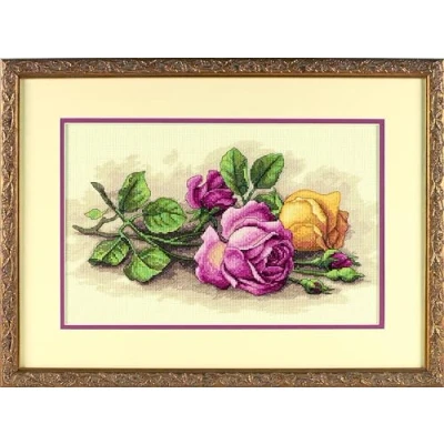 Image of Dimensions Counted Cross Stitch Kit Rose Cuttings 13720 Arts and Crafts for Adults 14 count Aida x 9 inch