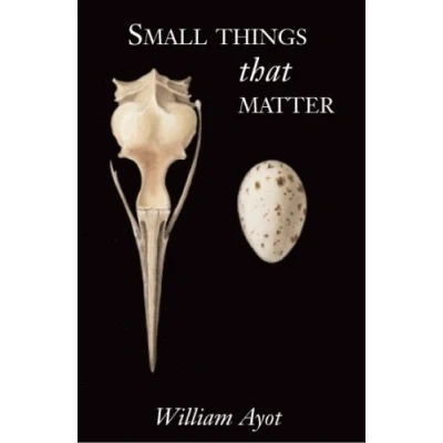 Image of Small Things That Matter