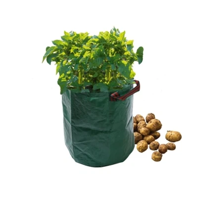 Image of Garland Potato Bag