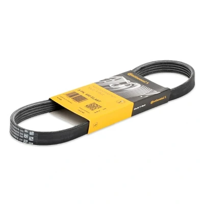 Image of 30777417 V ribbed belt CONTITECH 5PK705 ELAST 705mm 5 FORD: FOCUS 2, 3, 3 Turnier, VOLVO: S40 II, V50, C30