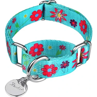 Image of Dazzber Martingale Collars for Dogs Soft Adjustable Dog Collar, Durable D ring Heavy Duty, Choke Collar Large Medium Small (Large, Teal and Sun Flower)