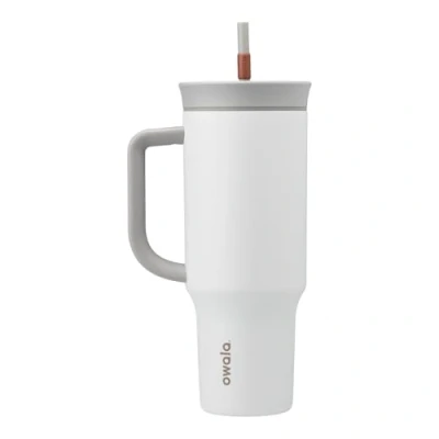 Image of Owala Stainless Steel Triple Layer Insulated Travel Tumbler with Spill Resistant Lid, Straw, and Carry Handle, BPA Free, 1.2L, Gray (Iced Tea)