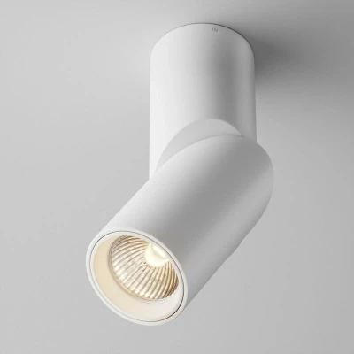 Image of Maytoni Dafne Surface Mounted Downlight White 3000K