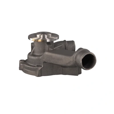 Image of 51065006515, 51065006532, 51065009515, 51065009532 Water pump FEBI BILSTEIN 30152 Grey Cast Iron with seal