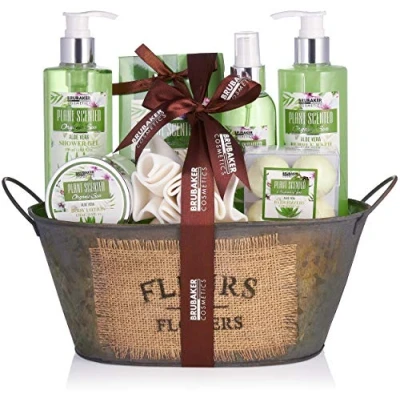 Image of BRUBAKER Cosmetics Bath and Shower Set Aloe Vera 11 Piece Gift in Vintage Bathtub