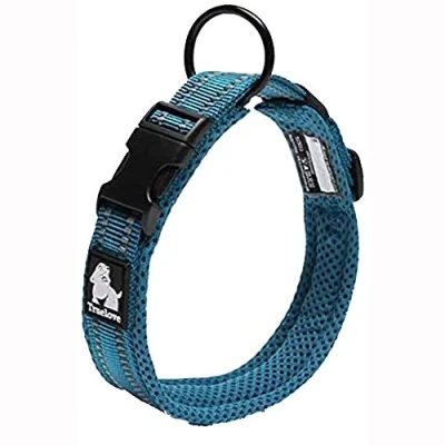 Image of Truelove Dog Training Collar TLC5011 Reflective Premium Buckle Nylon Webbing Pet Collars,High Grade No Choke Basic Collars Now Available (S, Blue)