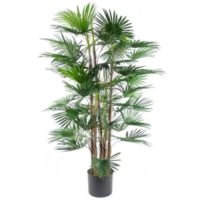 Image of 120cm Fan Palm Artificial Tree