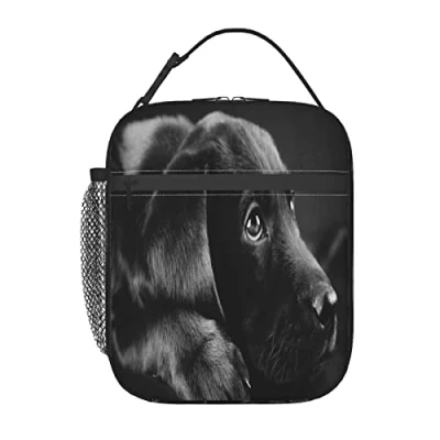 Image of Lovely Black Labrador Dog Lunch Bag, Durable Insulated Box Reusable Adults Tote Bag Cooler