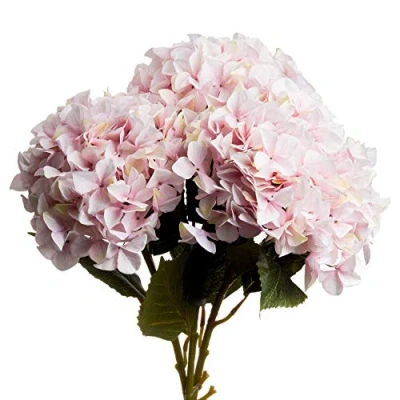 Image of The Recipe Single Pink Hydrangea