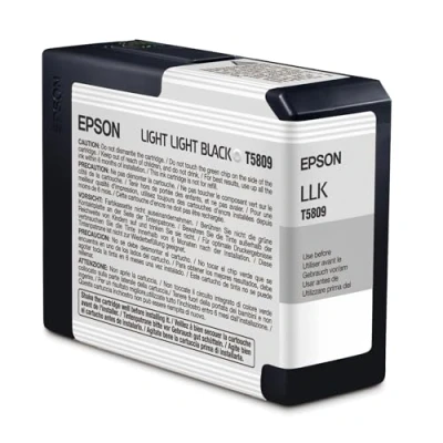 Image of Epson Ink Cartridge 80 ml, Light Black, Genuine