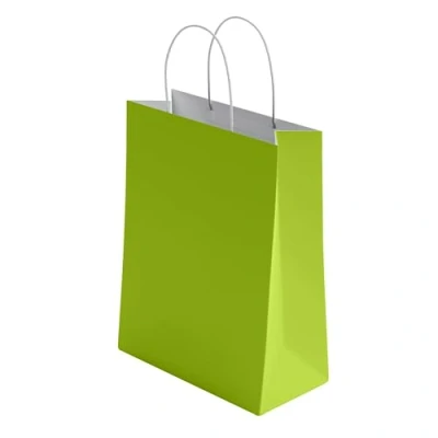 Image of 10 Pcs Small Green Paper Party Bags With Handles Colourful Gift for Kids Parties Weddings Birthdays Baby Showers Xmas and Sweets 18x22x8cm Kraft