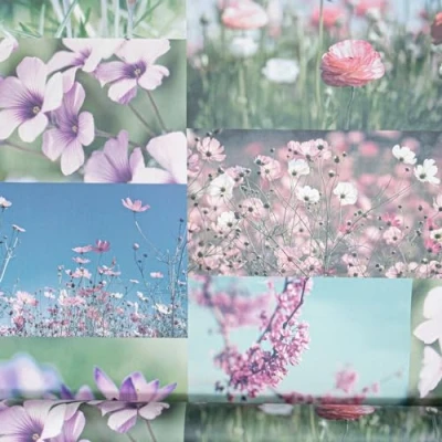 Image of SOPHIE LAURENCE Heather Pink Floral Wallpaper Flower Photographic Collage Abstract Non Woven Paste The Paper for Kitchen Living Room Bedroom