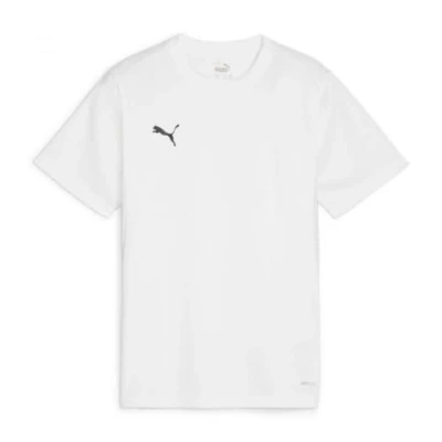 Image of puma Unisex Teamgoal Jersey Jr Tee, White Black Feather Gray, 164 EU