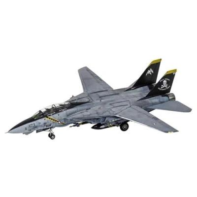 Image of VF 103 Jolly Rogers Last Cruis