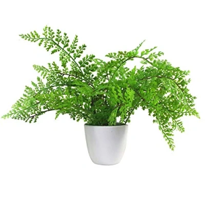 Image of Leaf Artificial Plant with Pot, Royal Fern, 30cm