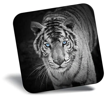 Image of Destination Vinyl ltd Fridge Magnet White Tiger Wild Big Cat Jungle Animal Cats 24434