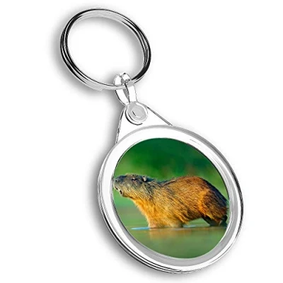 Image of Destination Vinyl ltd 1 x Photo Keyring Capybara Hydrochoerus Hydrochaeris River KeychainKeyringCharm #44514