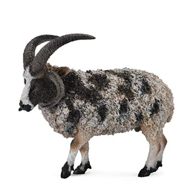 Image of CollectA Jacob Sheep