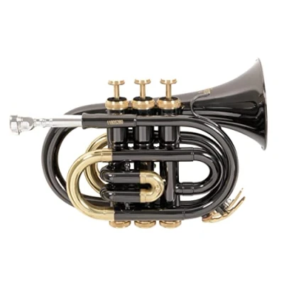 Image of Roy Benson MOD.PT 101K BB Black Lacquered Finish Pocket Trumpet with Light Rectangular Case