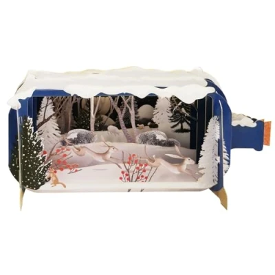 Image of Message in A Bottle Winter Hares Pop Up Christmas Greeting Card XMIB095