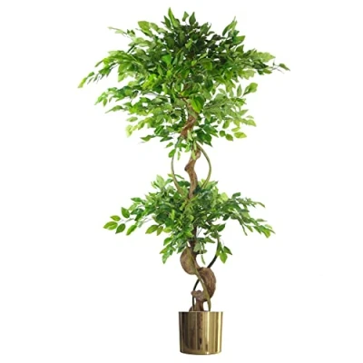 Image of Leaf Realistic Artificial Japanese Fruticosa Ficus Tree, Twisted Large Gold, 150cm (5ft)