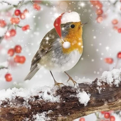 Image of Charity Christmas Cards Festive Robin and Berries Eco Friendly Recyclable Pack of 10 By The Great British Card Company