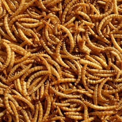 Image of Pet Ting Premium Dried Mealworms, 7.5 Litre