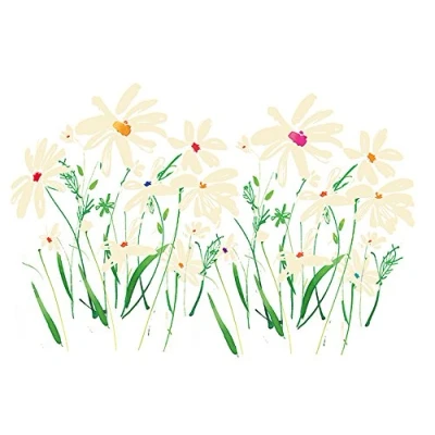 Image of The Art Group Summer Thornton Marguerite Daisy Canvas Print, Cotton, Multi Colour, 1.8 x 30 40 cm