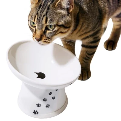 Image of Necoichi Tilted Stress Free Raised Cat Food Bowl, White