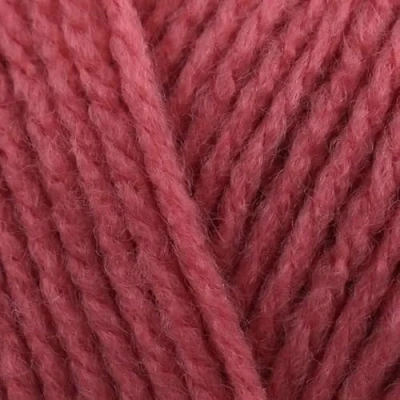 Image of Stylecraft Special DK 100g (Pink Rhubarb 2175)