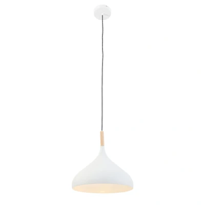 Image of Bjorr Dome Pendant Ceiling Lights White Matt, Wood Clear